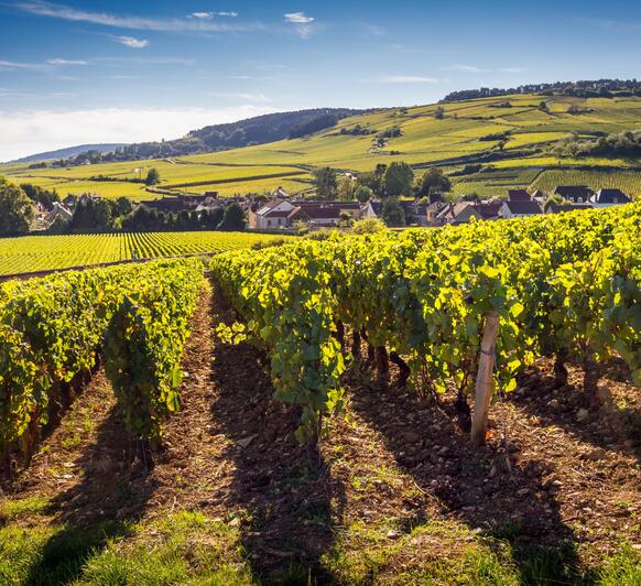 Bourgogne-Franche Comté